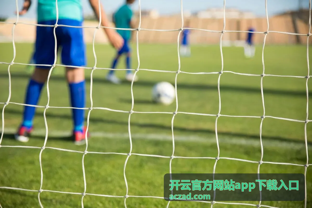 开云官方网站app下载入口账号登录异常排查封面图